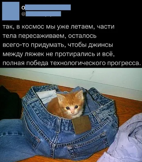 Котёнок между ляжек