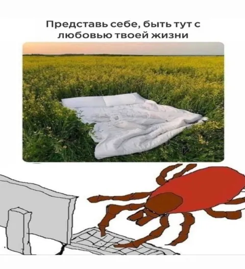 Любовь всей жизни в поле
