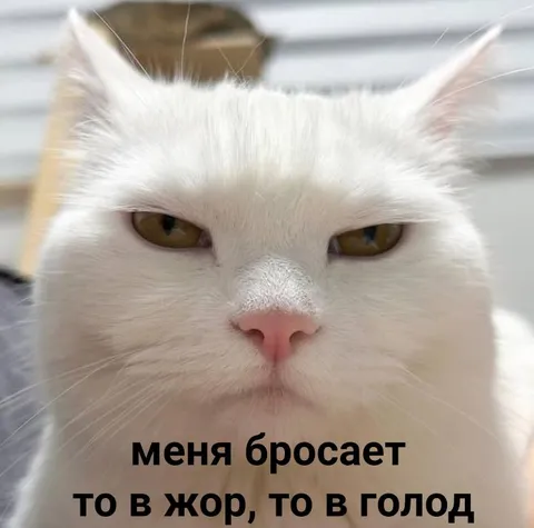 Меня бросает то в жар, то в холод