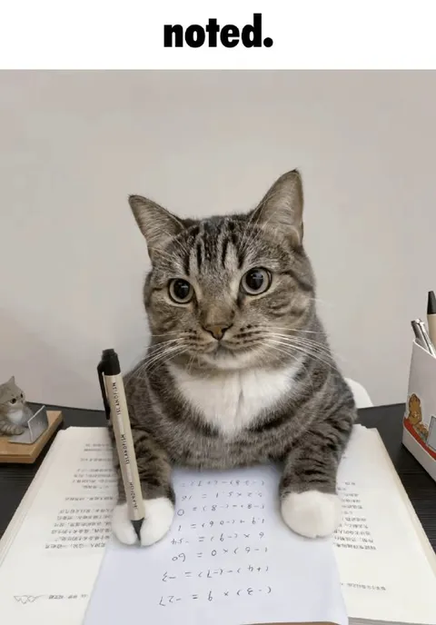 Noted Cat Taking Notes
