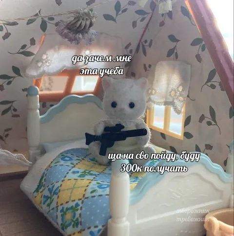 Ща на СВО пойду