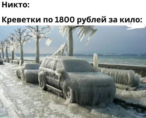Креветки по 1800 рублей