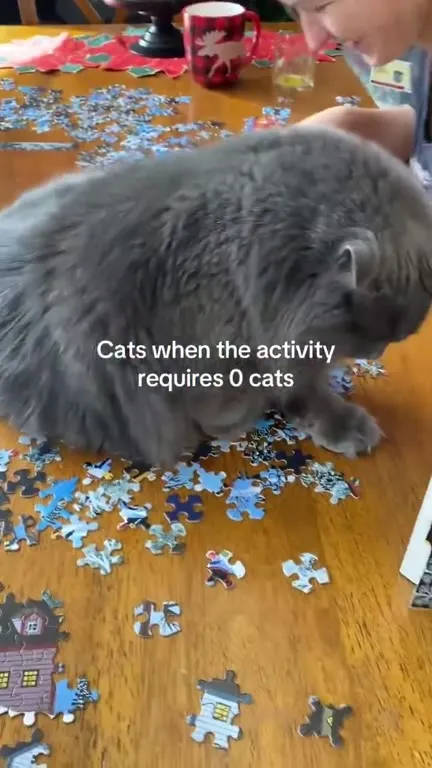 Cat Interrupts the Puzzle