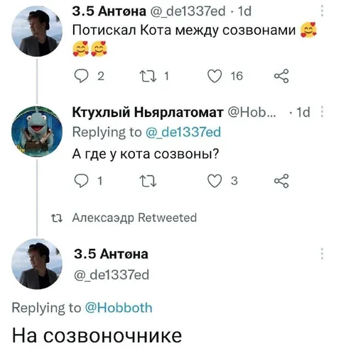 У кота тоже созвоны