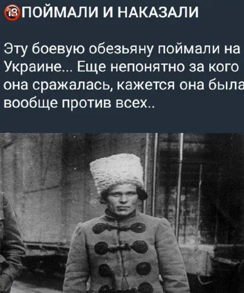 Поймали боевую обезьяну