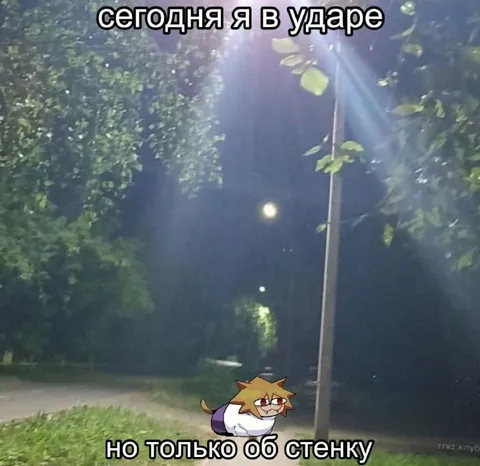 Сегодня я в ударе