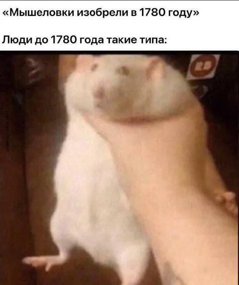Мышеловки изобрели в 1780 году