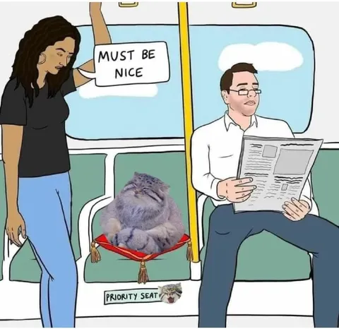 Must Be Nice Priority Seat