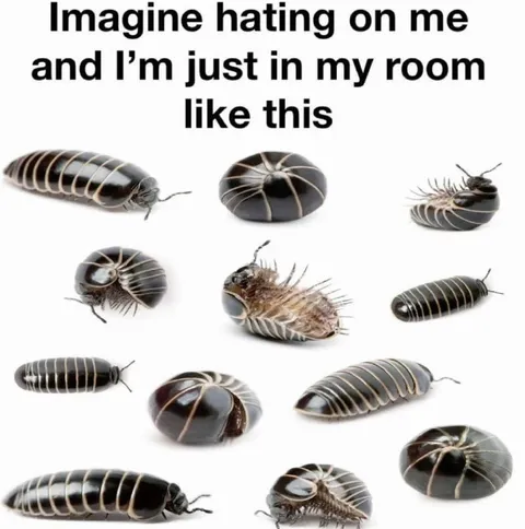 Imagine Hating on Me