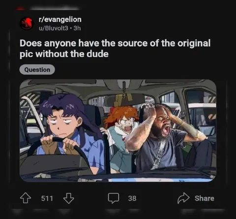 Original Picture Without the Dude