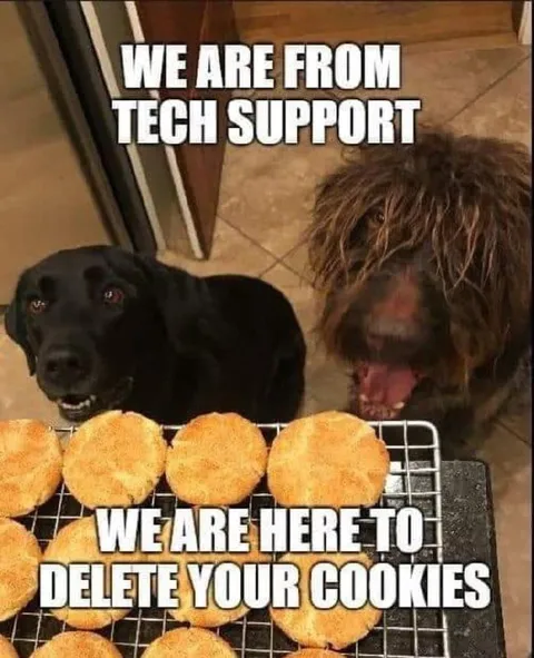 Tech Support Deletes Your Cookies