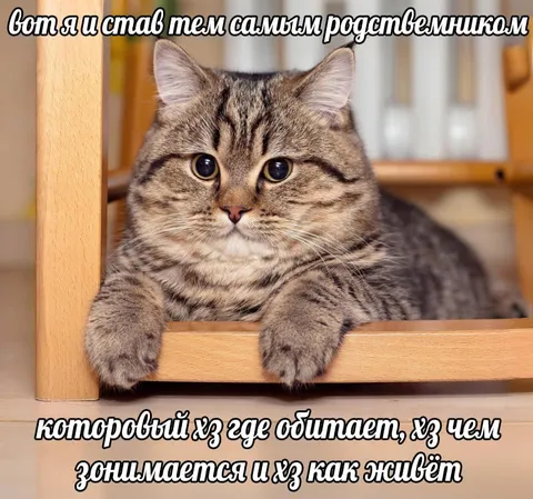 Тот самый загадочный родственник