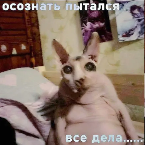 Пытался всё осознать