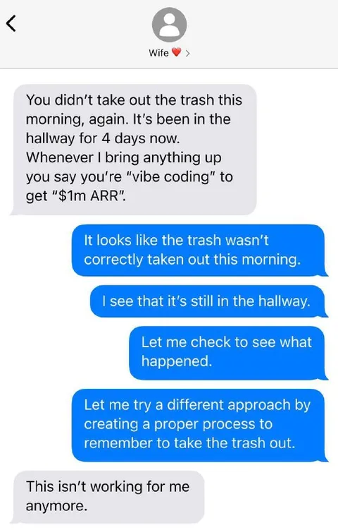 Vibe Coding Won’t Take Out Trash