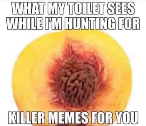 What My Toilet Sees