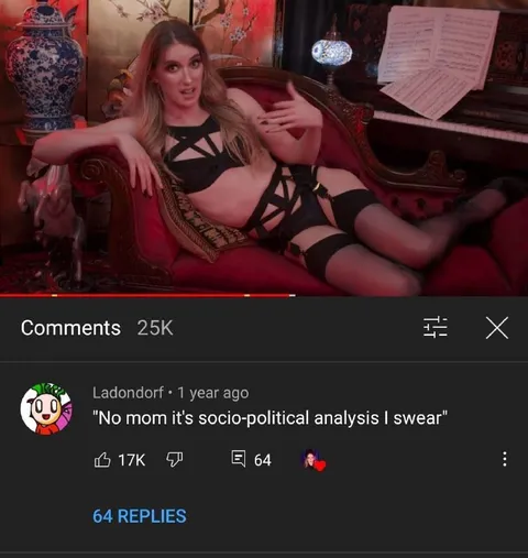 No Mom, It’s Socio-Political Analysis