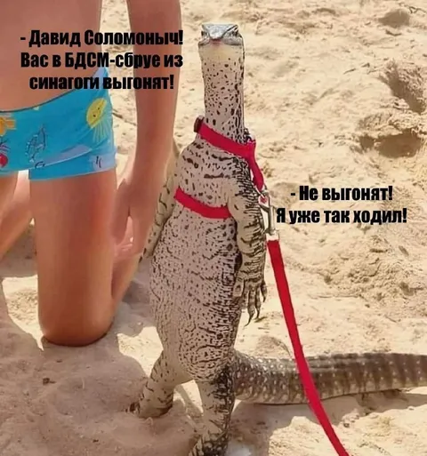 Давид Соломоныч в БДСМ-сборе