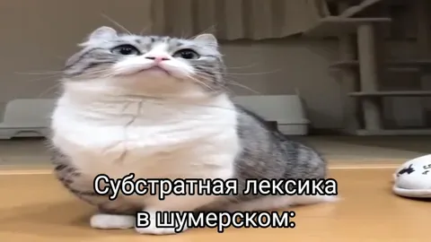 Субстратная лексика в шумерском