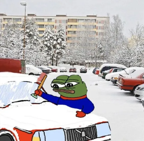 Пепе чистит машину от снега
