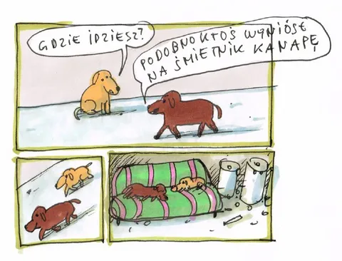Psy znalazły kanapę na śmietniku