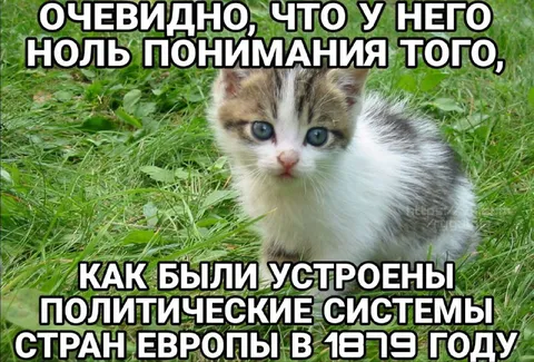 Котёнок о политических системах