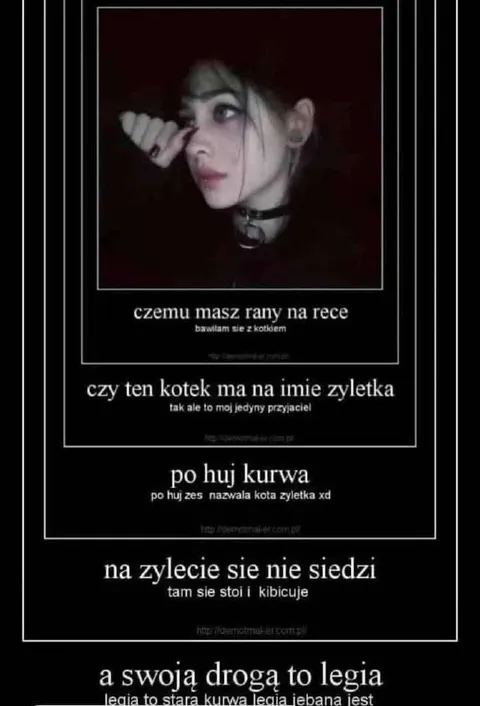 Kot Zyle­tka i Legia