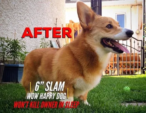 After the Six-Inch Slam