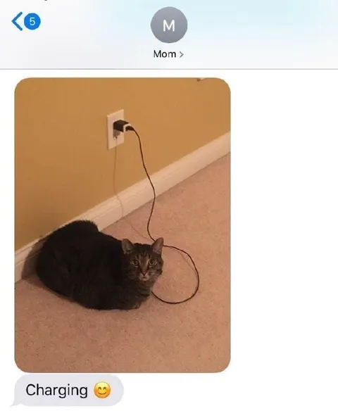 Cat Charging Like a Phone