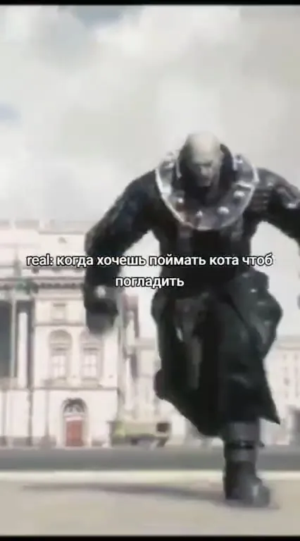 Поймать кота, чтобы погладить