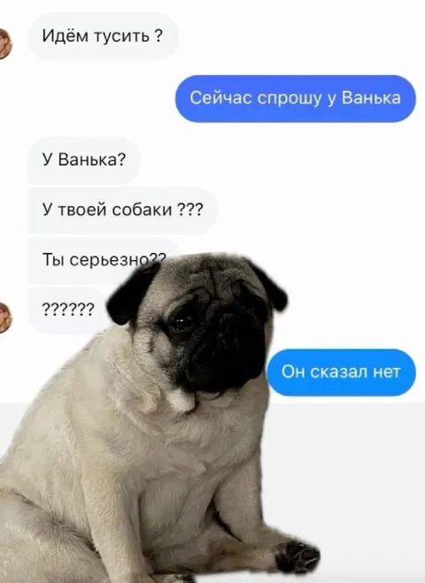 Ваня сказал нет