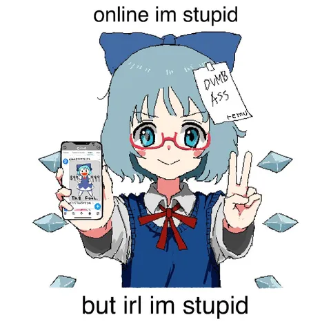 Online Stupid, IRL Stupid