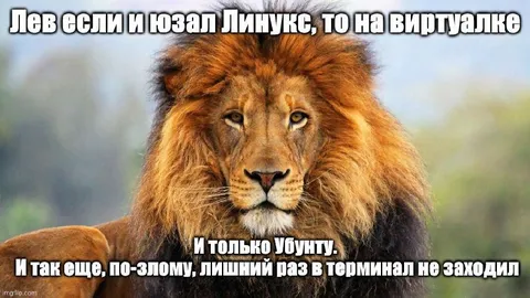Лев и Юзалы на виртуалке