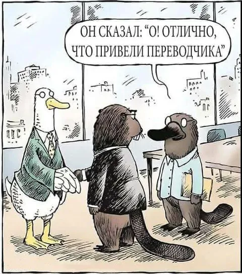 Привели переводчика