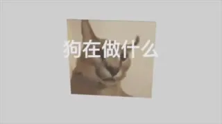 狗在做什么