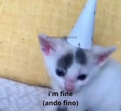I'm Fine Cat