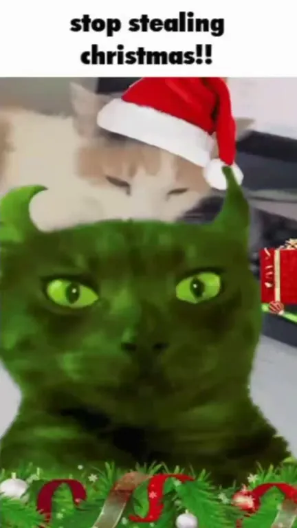 Stop Stealing Christmas Cat