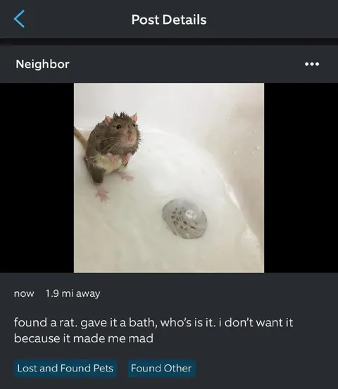 Found Rat Doesn't Want It