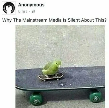 Mainstream Media Silent About Bird