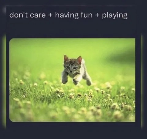 Don't Care Having Fun Playing