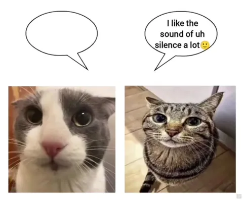 Cats Discuss Their Favorite Sound