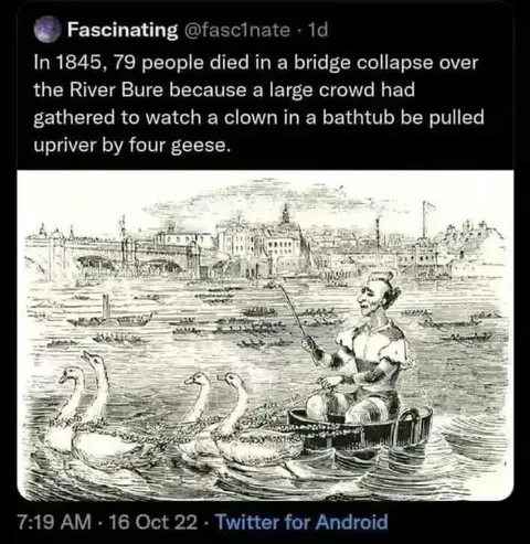 Clown Pulled by Four Geese