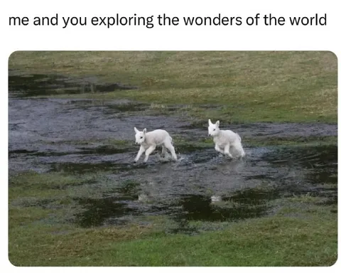 Exploring the Wonders Together