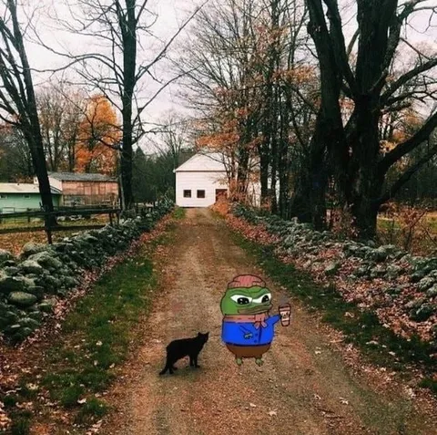Пепе на осенней дорожке