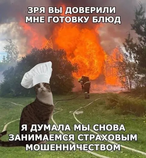 Кот-повар устроил пожар