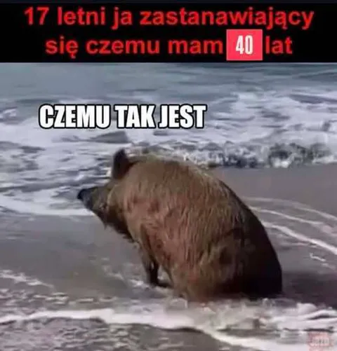 Siedemnaście lat i czterdzieści