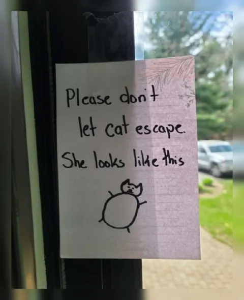 Round Cat Escape Warning