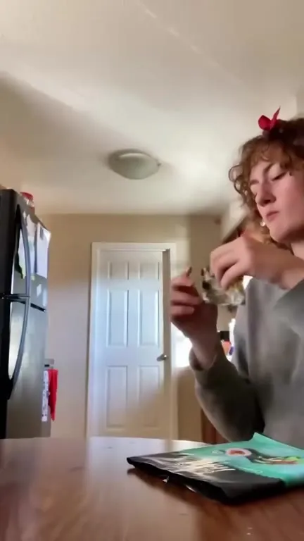 Cats Interrupting Dinner