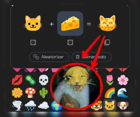 Gato más queso