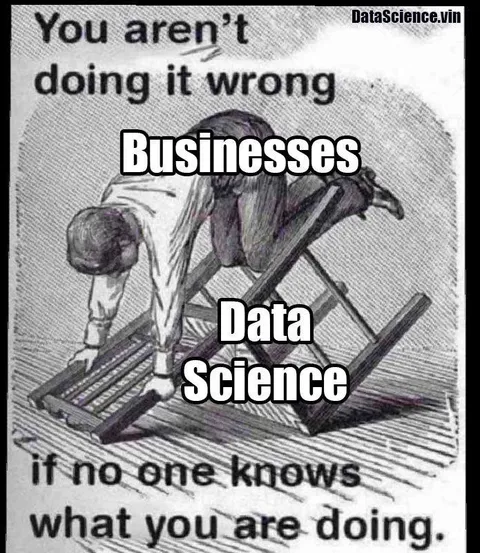 Business Data Science Confusion