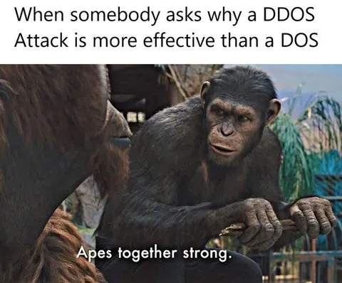 Apes Together Strong DDOS